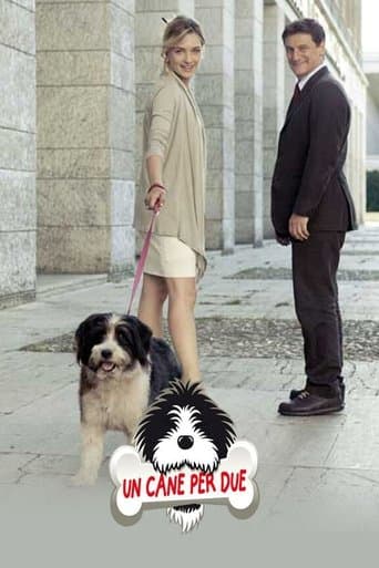 Movie poster for Un cane per due