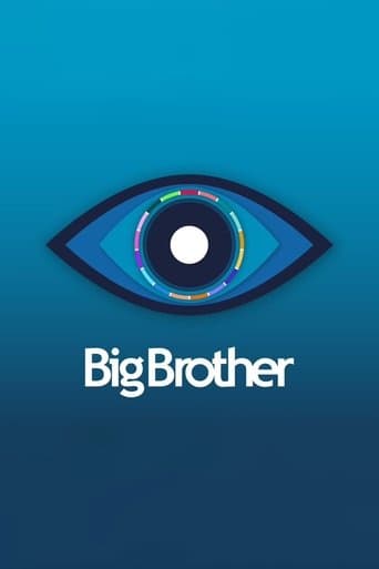 Movie poster for Big Brother