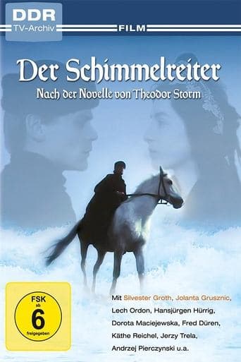 Movie poster for Der Schimmelreiter
