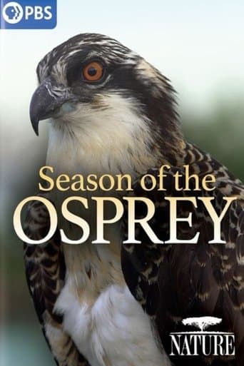 Movie poster for Season of the Osprey