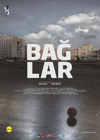 Movie poster for Baglar