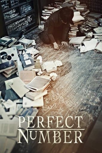 Movie poster for Perfect Number