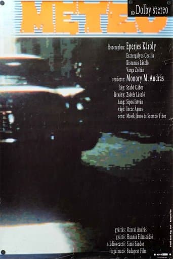 Movie poster for Meteo