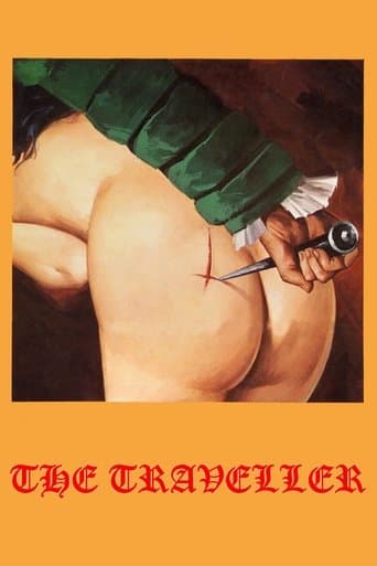 Movie poster for The Traveller