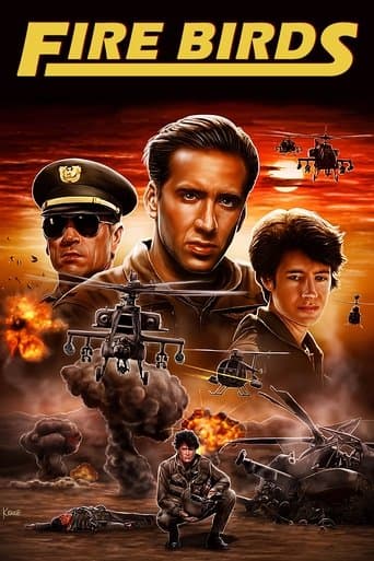 Movie poster for Fire Birds