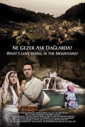 Movie poster for Ne Gezer Aşk Dağlarda?