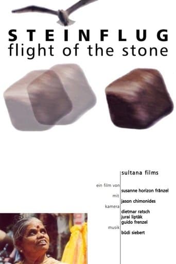 Movie poster for Flight of the Stone