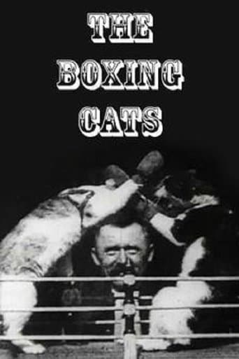 Movie poster for The Boxing Cats
