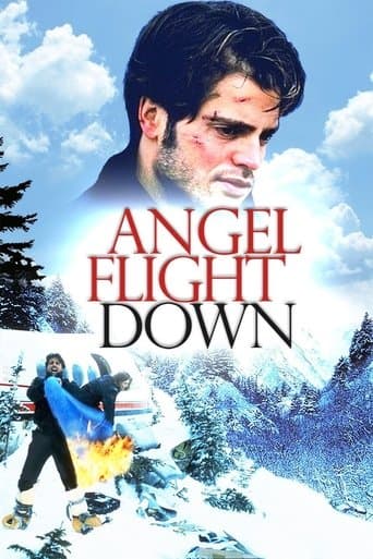 Movie poster for Angel Flight Down