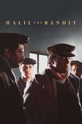Movie poster for Halil the Bandit