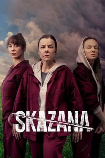 Movie poster for The Convict