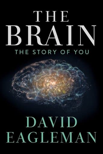 Movie poster for The Brain with David Eagleman