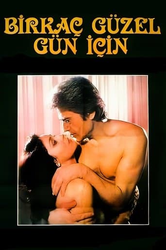 Movie poster for Birkaç Güzel Gün İçin
