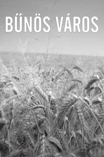 Movie poster for Bűnös Város