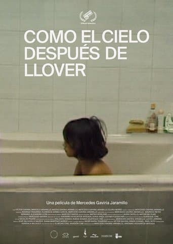 Movie poster for The Calm After the Storm
