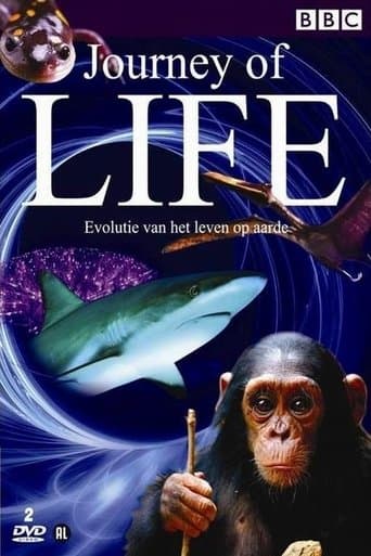 Movie poster for Journey of Life