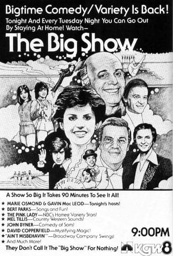 Movie poster for The Big Show