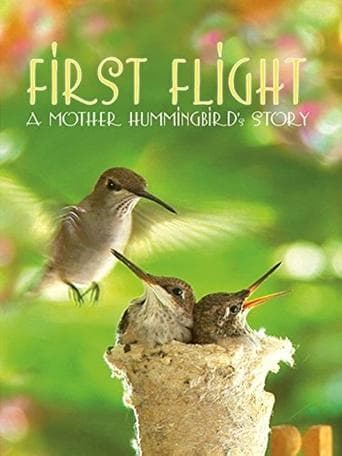 Movie poster for First Flight: A Mother Hummingbird's Story
