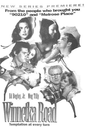 Movie poster for Winnetka Road