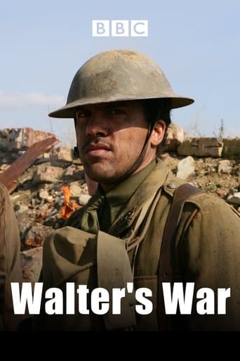 Movie poster for Walter's War
