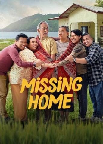 Movie poster for Missing Home