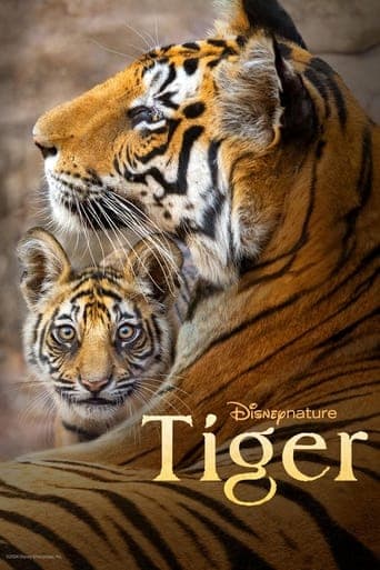 Movie poster for Tiger