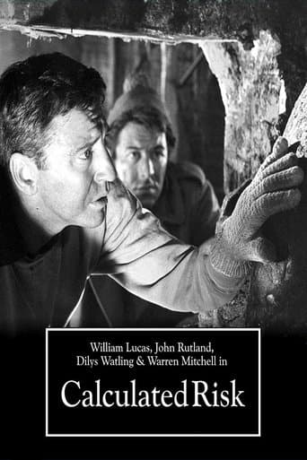 Movie poster for Calculated Risk