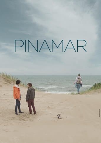 Movie poster for Pinamar