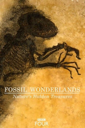Movie poster for Fossil Wonderlands: Nature's Hidden Treasures