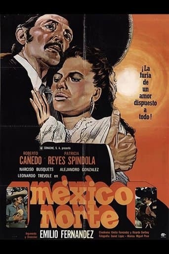 Movie poster for México Norte