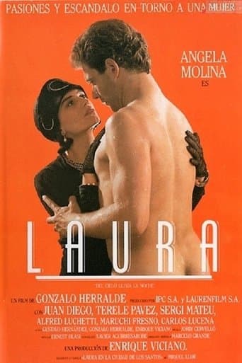 Movie poster for Laura, del cielo llega la noche