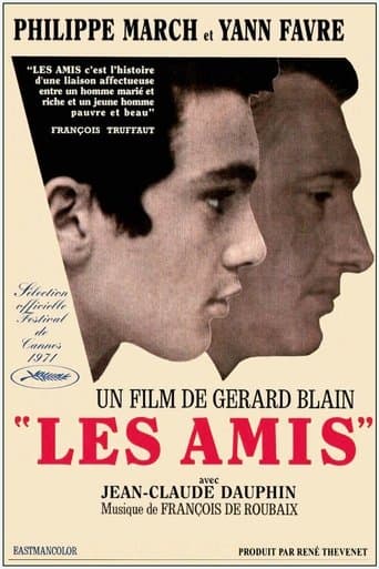 Movie poster for The Friends