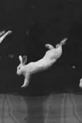 Movie poster for Rabbits