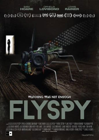 Movie poster for Flyspy