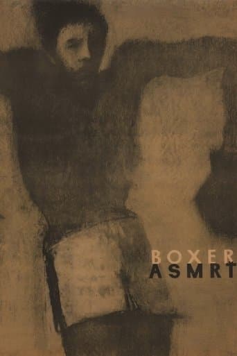 Movie poster for The Boxer and Death