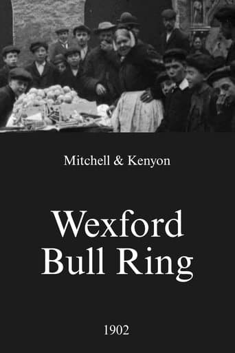 Movie poster for Wexford Bull Ring