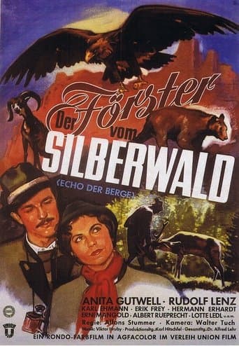Movie poster for The Forester of the Silver Wood