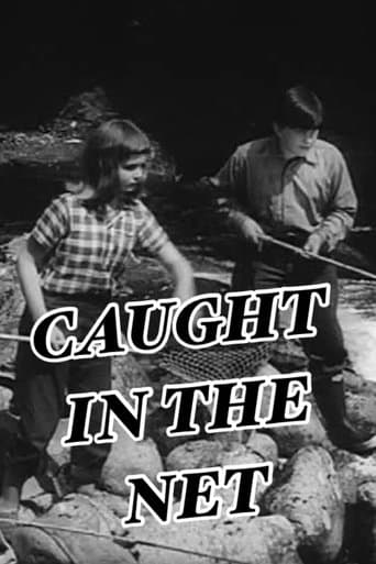 Movie poster for Caught in the Net