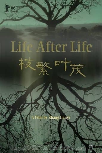 Movie poster for Life After Life