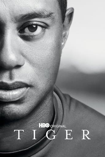 Movie poster for Tiger