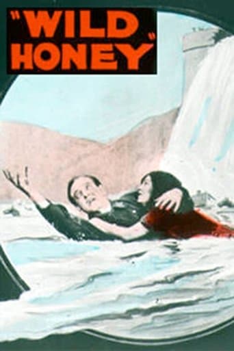 Movie poster for Wild Honey