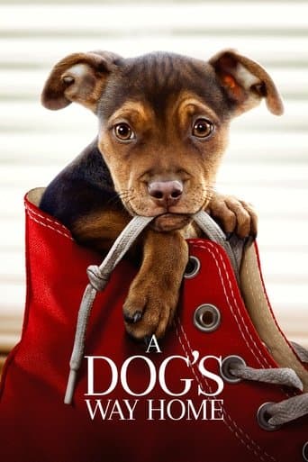 Movie poster for A Dog's Way Home