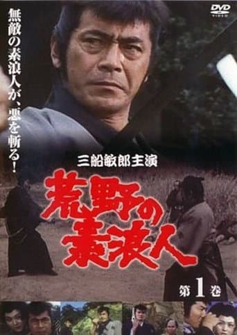 Movie poster for Ronin of the Wastelands