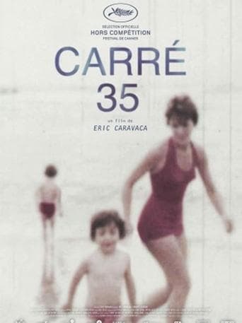 Movie poster for Plot 35