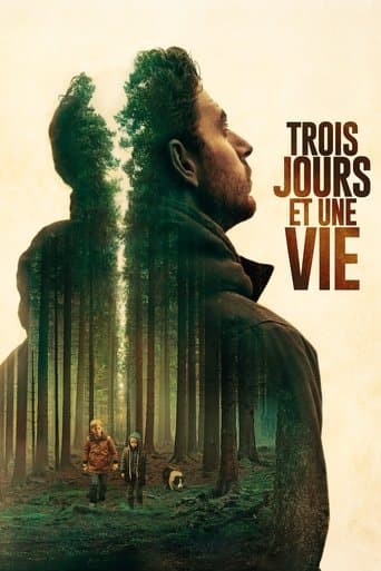 Movie poster for Three Days and a Life