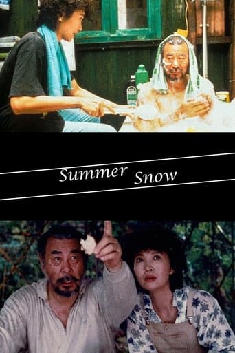 Movie poster for Summer Snow