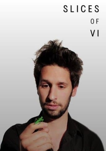 Movie poster for Slices of Vi