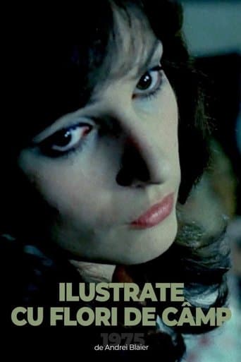 Movie poster for Postcards with Wildflowers
