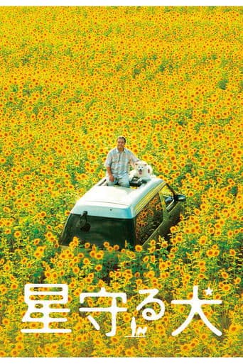 Movie poster for Star Watching Dog