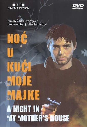 Movie poster for A Night at My Mother's House